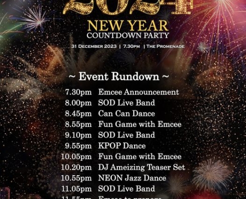 New Year Countdown Party